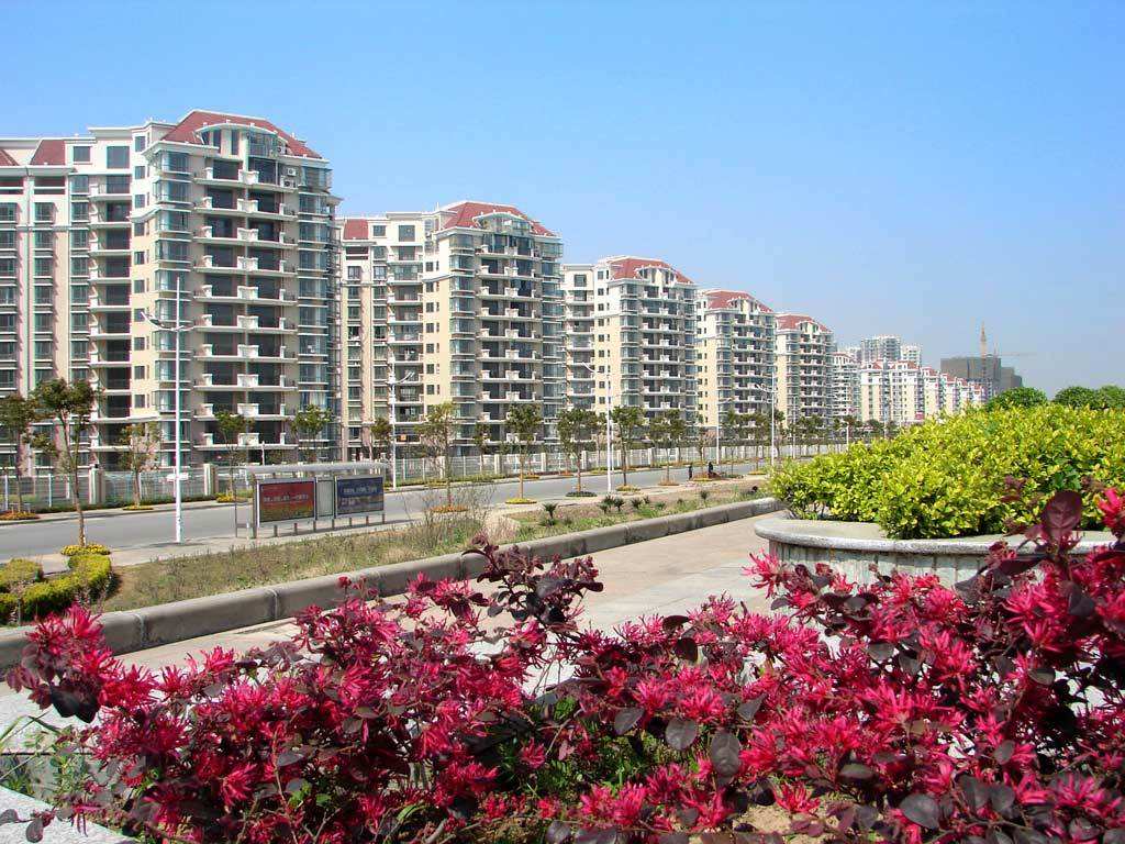 桥北四大楼盘评测，刚需和炒房客，为何偏偏它们青睐有加？