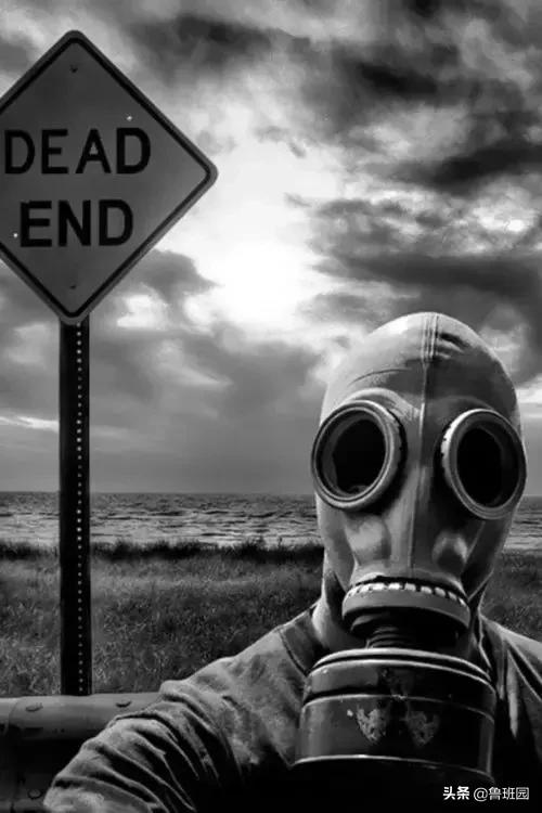 鱼鳔胶和猪皮胶哪个好,怎么区别鱼鳔胶的真假