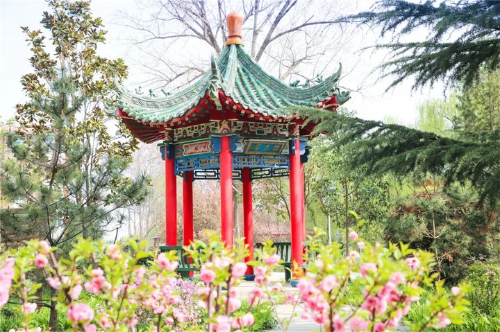 爱上西译的66个理由