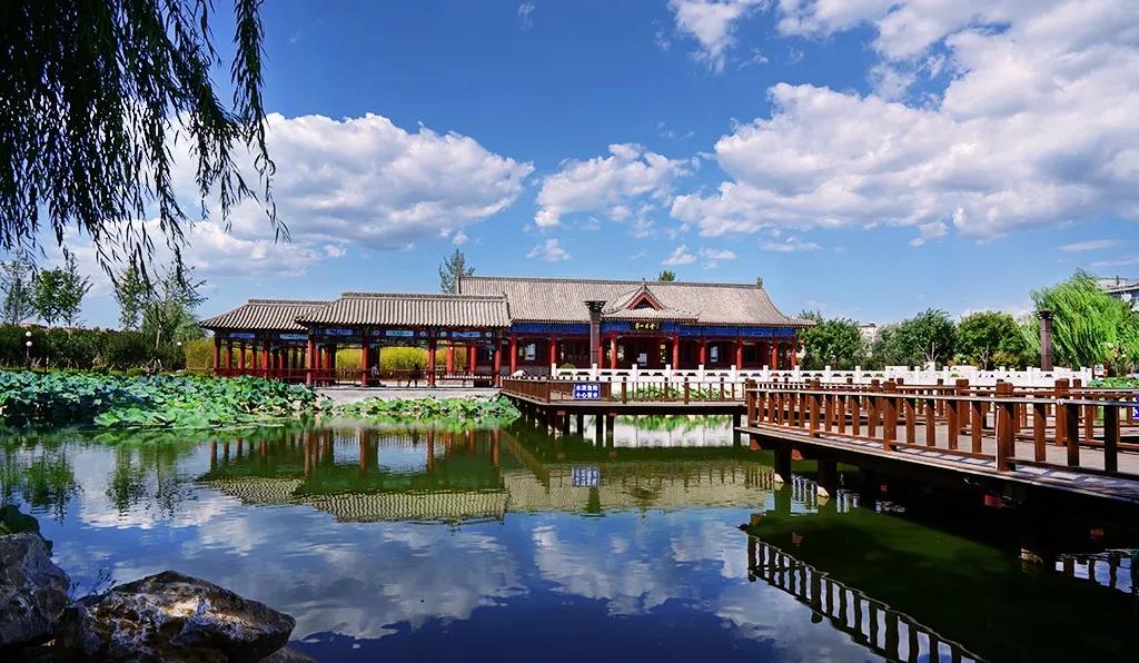 剪一段时光诉说一季的风景,剪一段时光诉说游走的风景