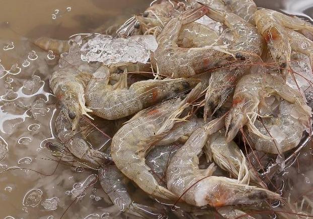 吃剩的白灼虾第二顿可以用水煮嘛,白灼虾最忌用水煮老渔民教我一招