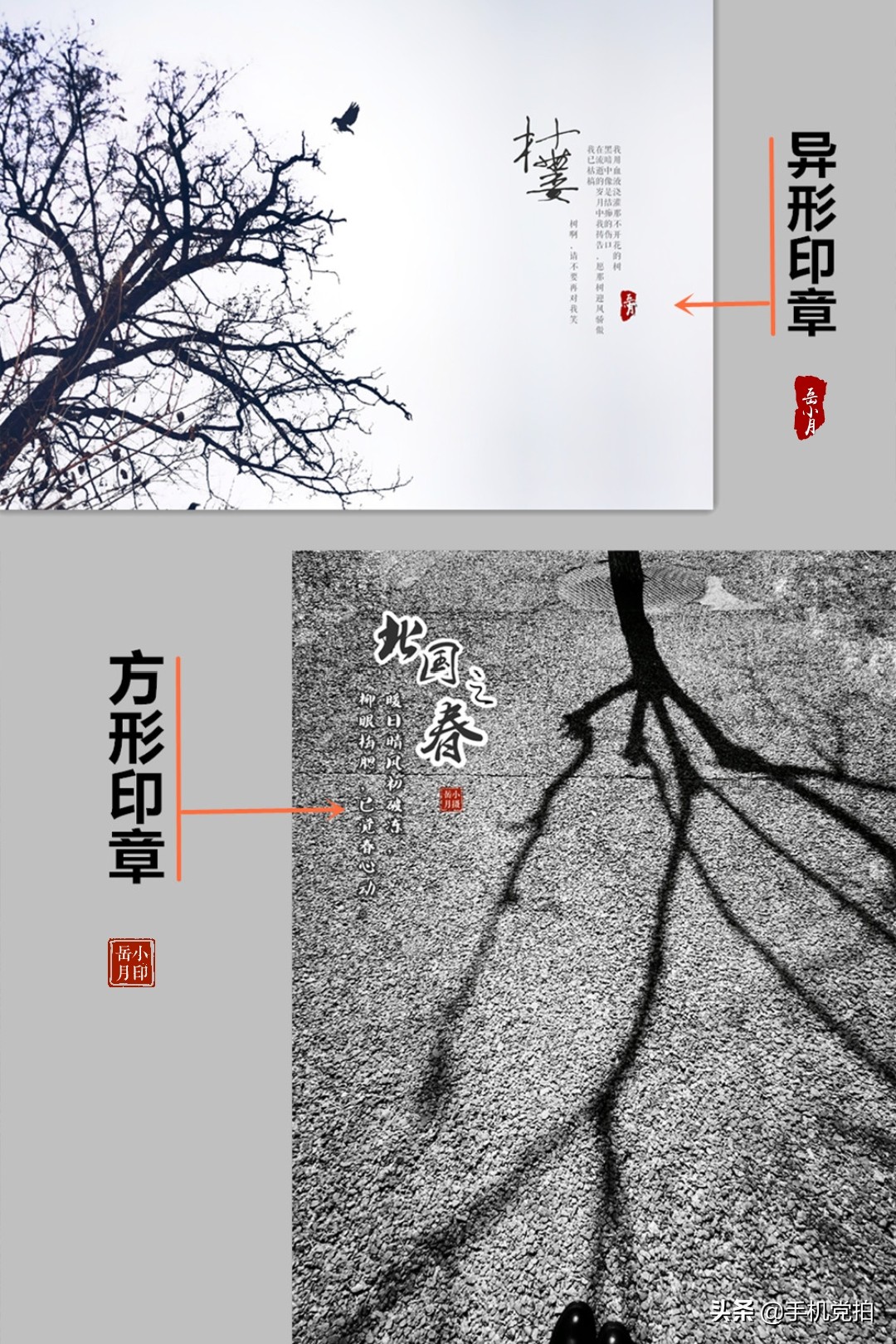 用照片做印章,用图片做印章底板