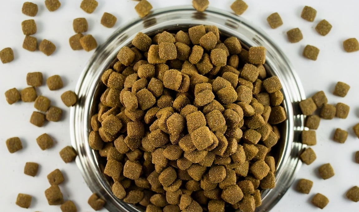 怎么挑选狗粮便宜量多有保障,买狗应该怎么挑选好的狗粮