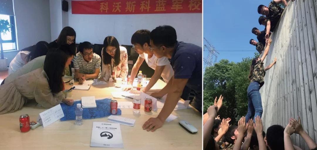 不会“双标”，80%的企业培训都是无用功