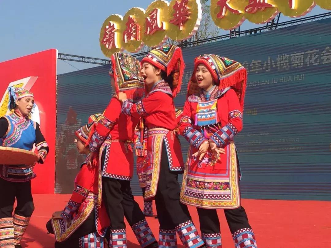 小榄菊花展团购,小榄菊花会2020门票