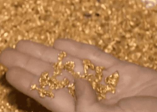黄金金条什么是最纯的,黄金冷知识大全图片