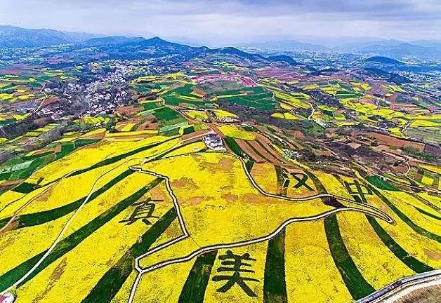全国油菜花时间表,3月份哪里的油菜花最美