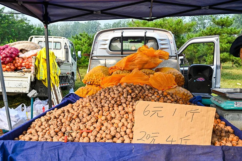 满满的烟火气逛大集真好玩,最值得逛的大集