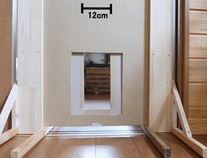 为测量猫咪体积，一网友对自家主子出手了，却完美证明喵是液体的