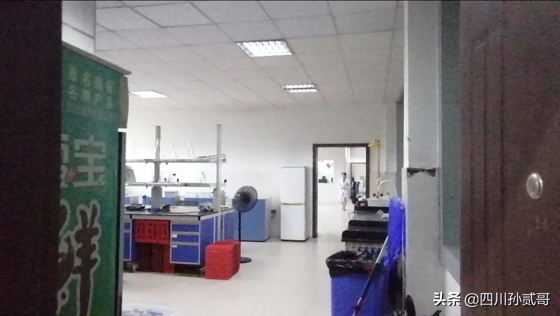 雪宝奶牛场,参观雪兰牛奶工厂心得体会