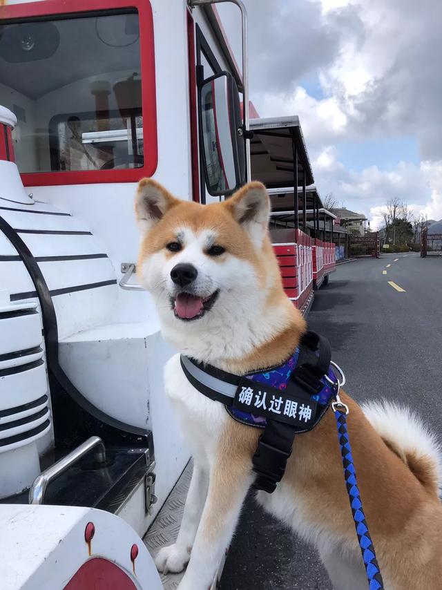 江南天池新一景,江南天池值吗