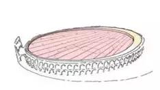 鍜屽钩绮捐嫳鐢熷瓨鎸囧崡,鍜屽钩绮捐嫳鐢熷瓨鏀荤暐