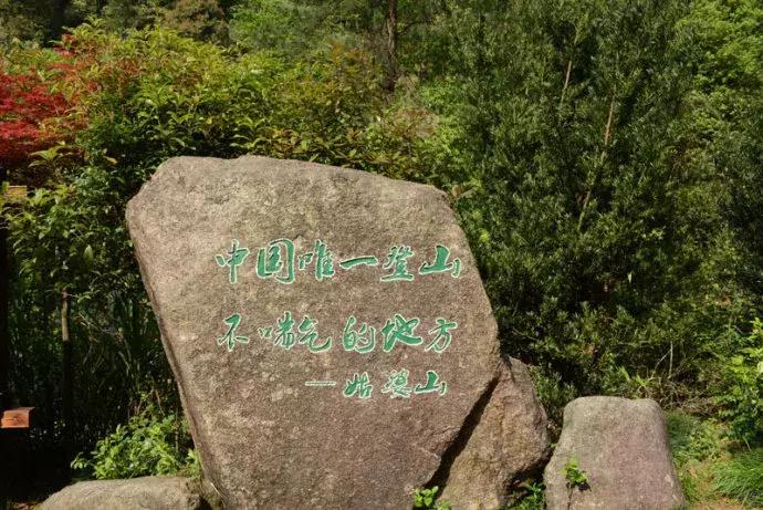 贺州姑婆山天然氧吧,姑婆山天然氧吧