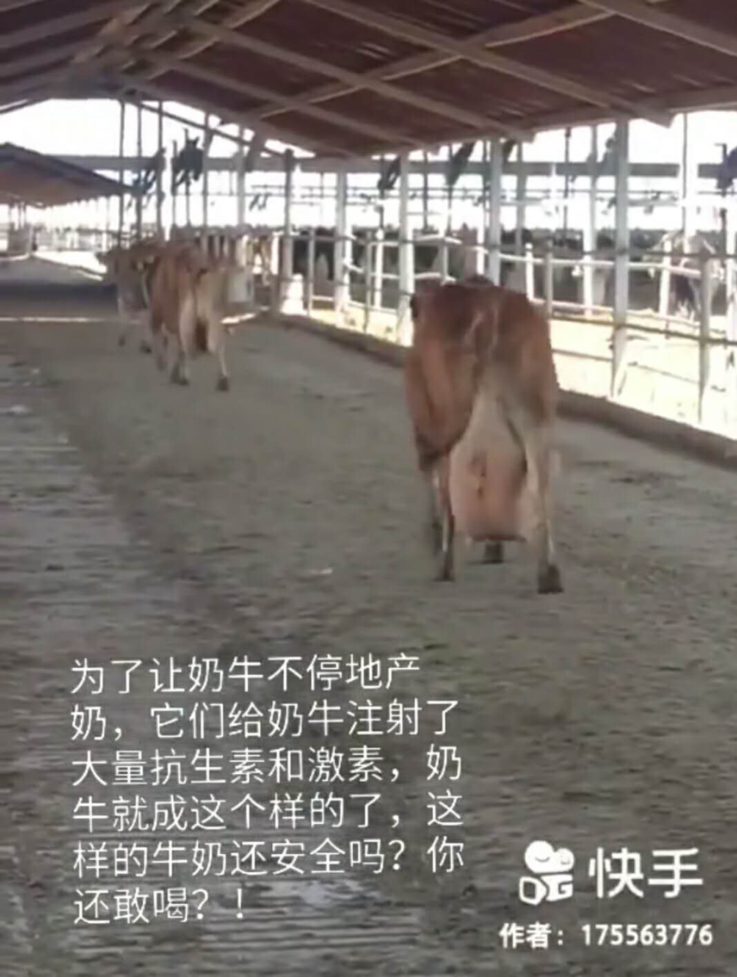 口罩和疫苗重要吗,口罩灭菌的有危害吗