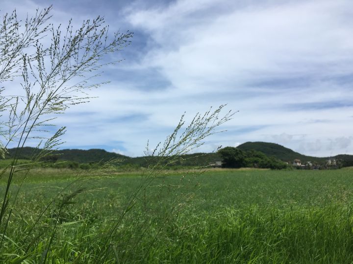 去台湾一定要去的地方,普通人去台湾攻略