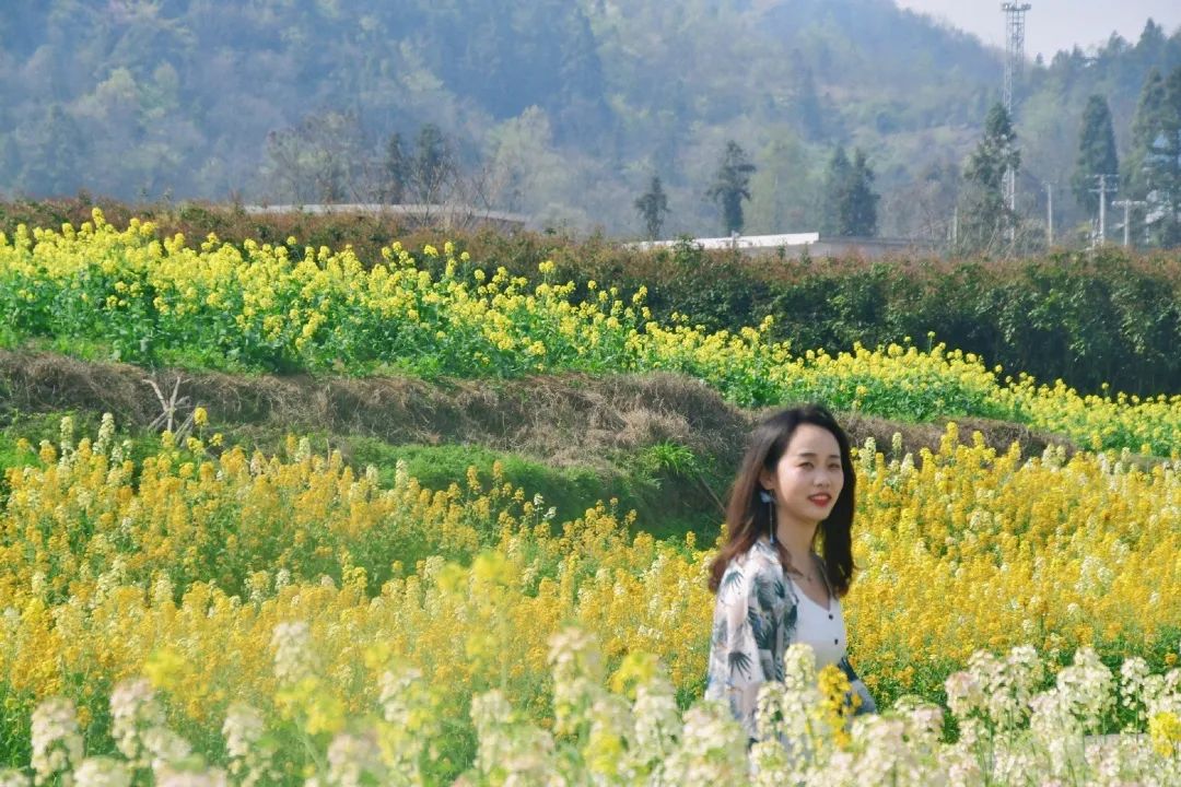 赏春图鉴丨赏花海、品清茶、尝美食...乌当百宜镇这条宝藏春游线路,就等你来打卡啦!