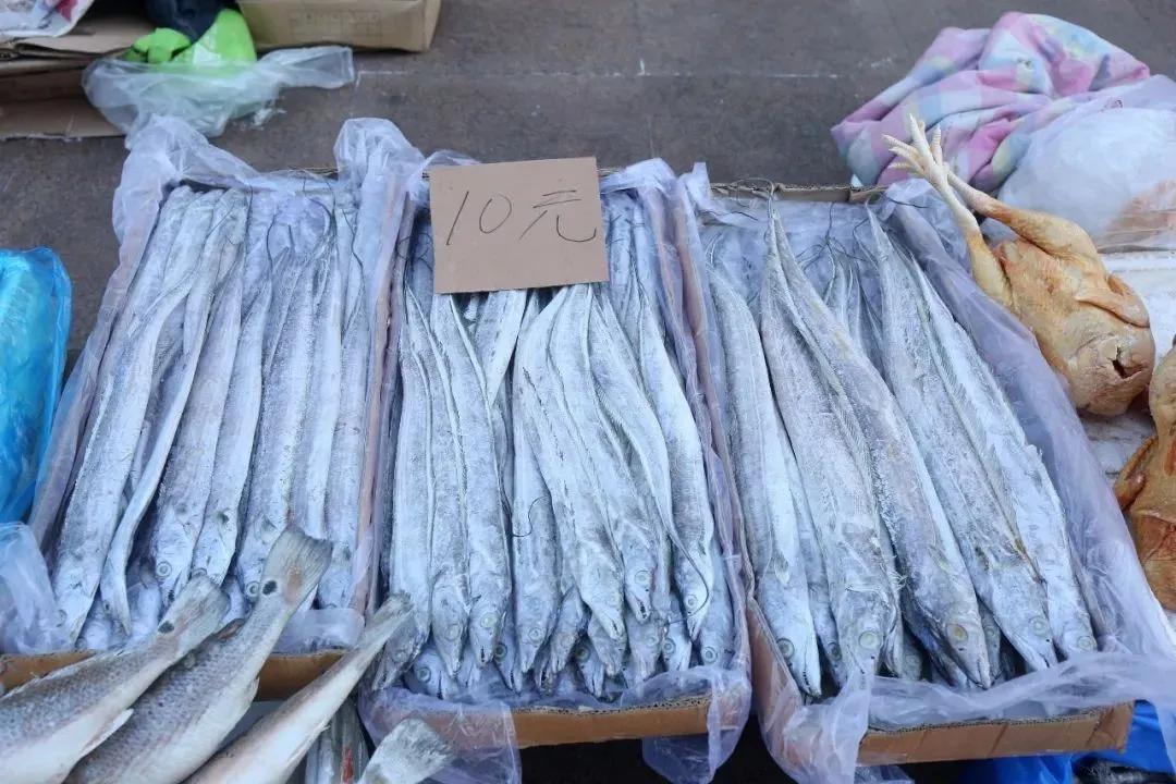 带鱼为什么成为中国最平民的海鲜,真正深海里的带鱼