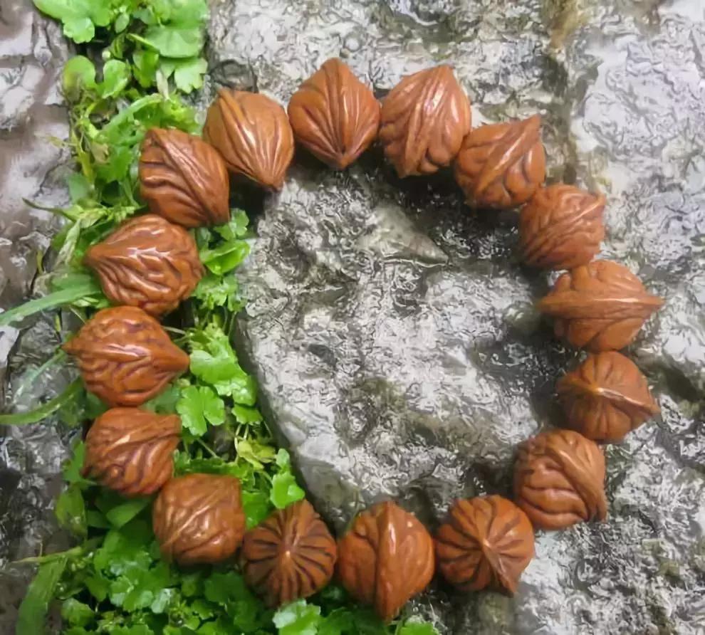 菩提108颗手串极品照片,千眼菩提手串变色图解