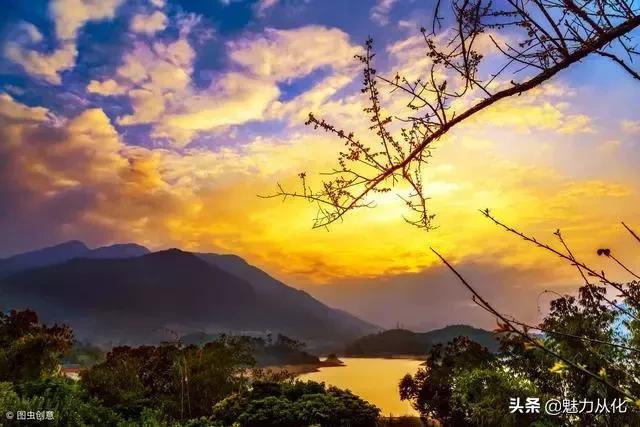 你真的了解顺德吗,你真的了解吗原版