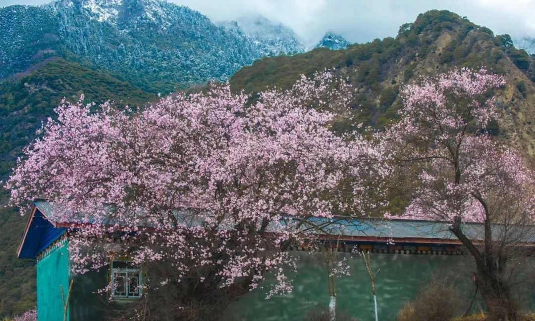 波密到鲁朗细雨蒙蒙,波密到林芝冰川