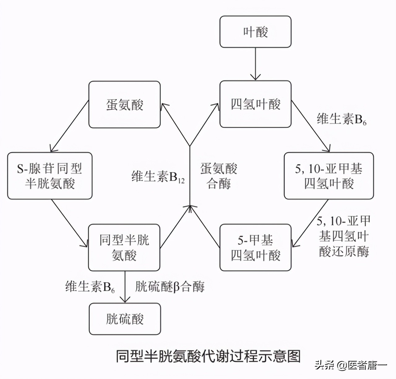 为什么脑梗要吃叶酸,为何美国脑梗减少中国却逐渐增多