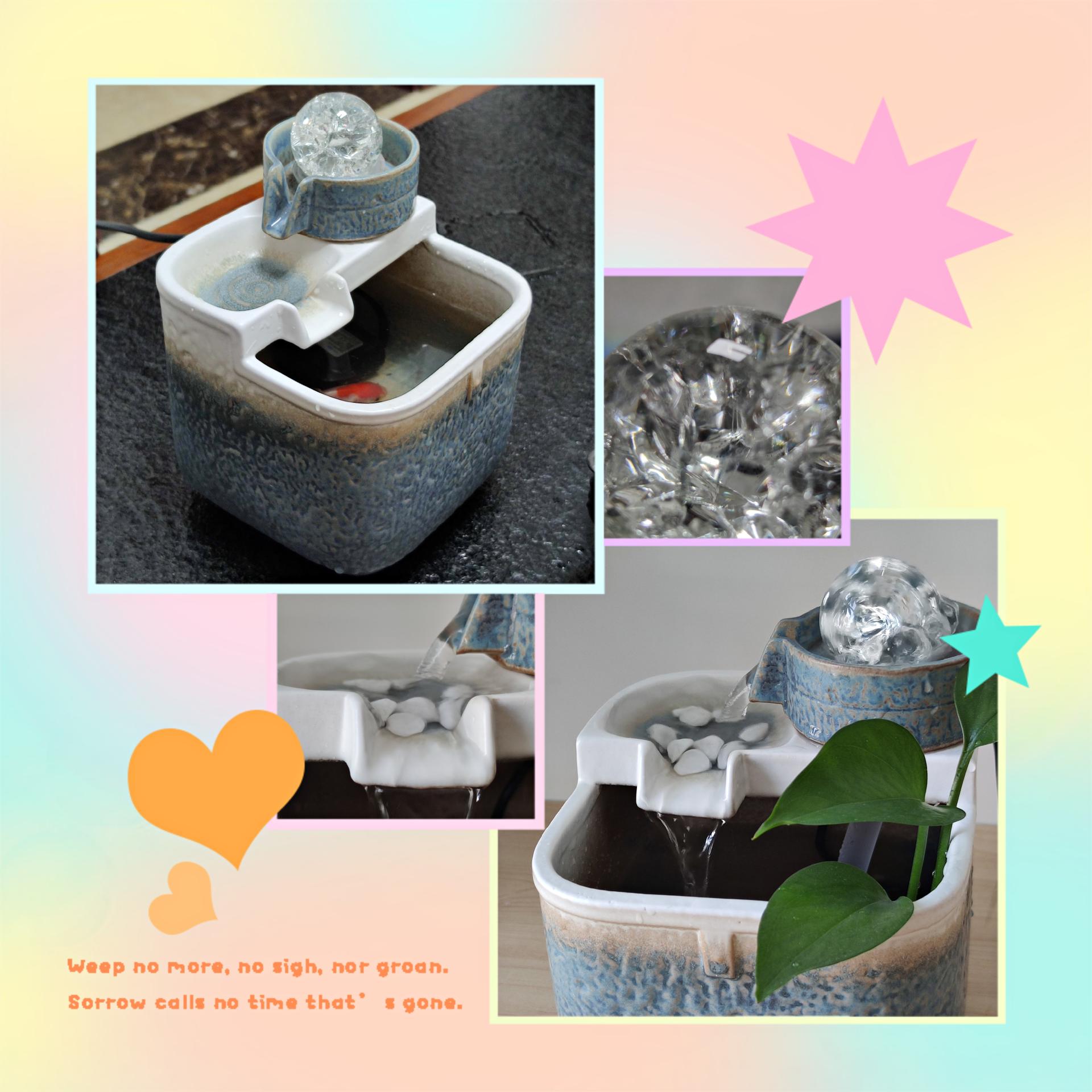 关于鱼缸的风水讲究图片,鱼缸的风水知识禁忌