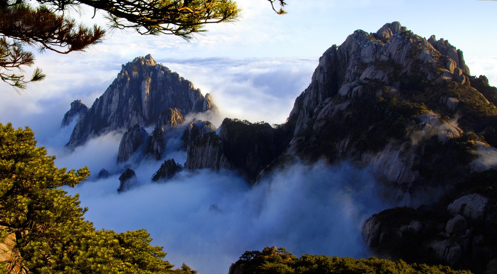 天都将“休眠”，莲花悄“待开”