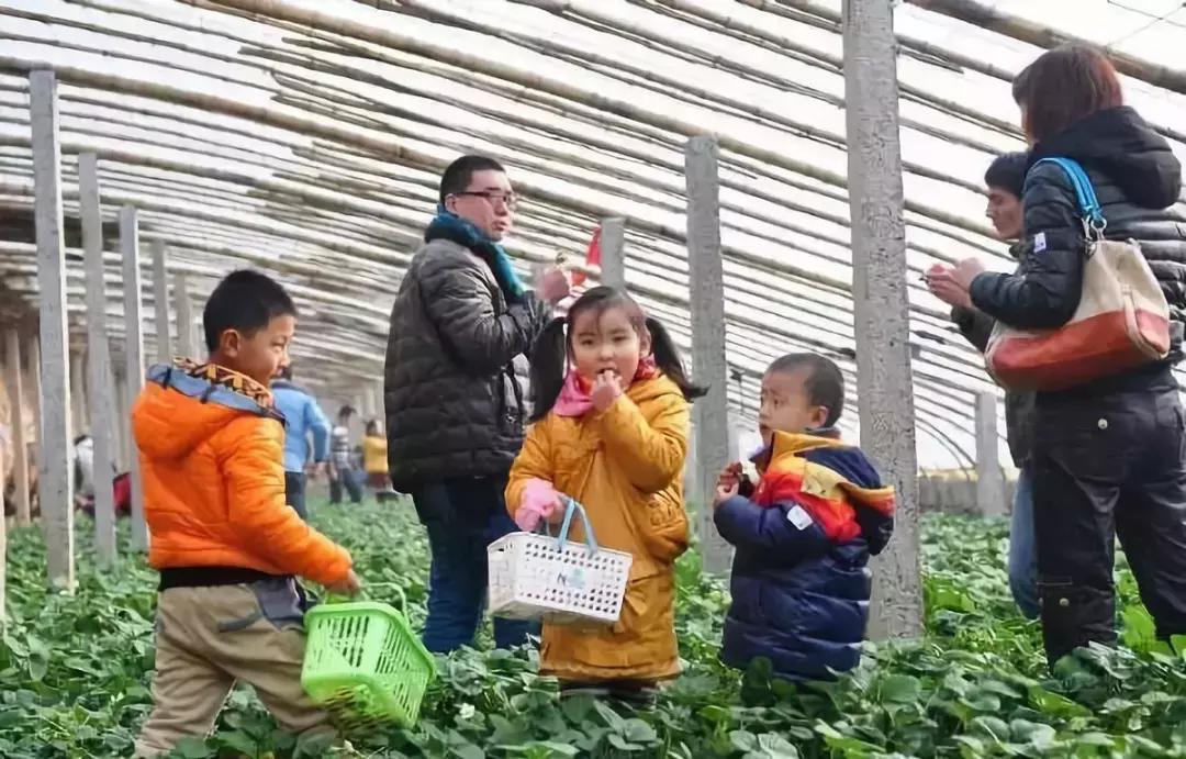 乳山到荣成自驾游攻略,乳山旅游攻略亲子游住宿