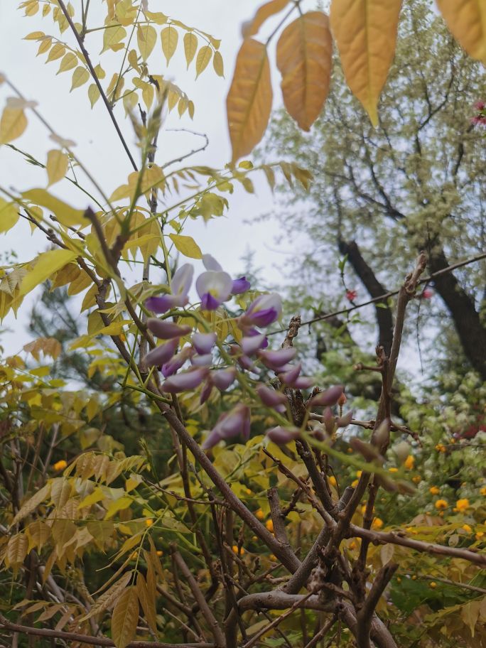 济南地铁出行哪里好玩,济南地铁2号线宜家是哪一站
