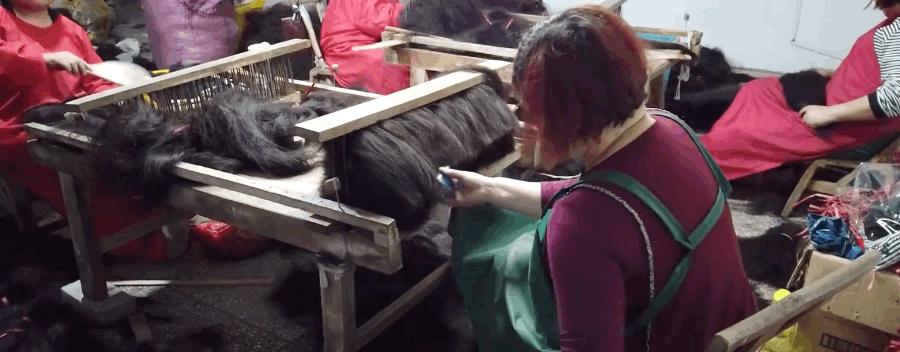 探访行业领军人物,探访国货之光