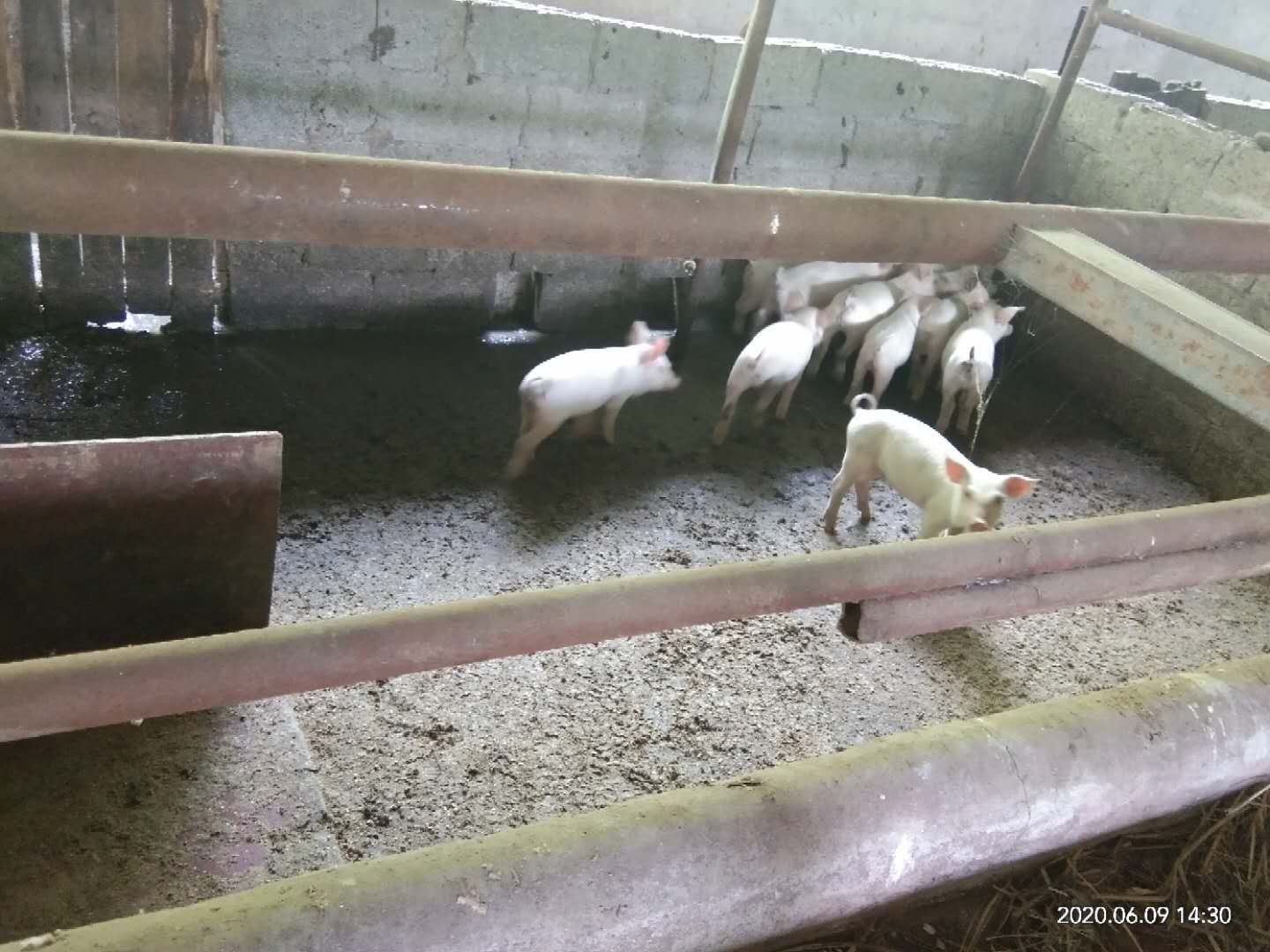 鏉ㄦ椽鍒氬勾鏀跺叆澶氬皯,濞佷俊澶ф渤闀囨潹娲垰