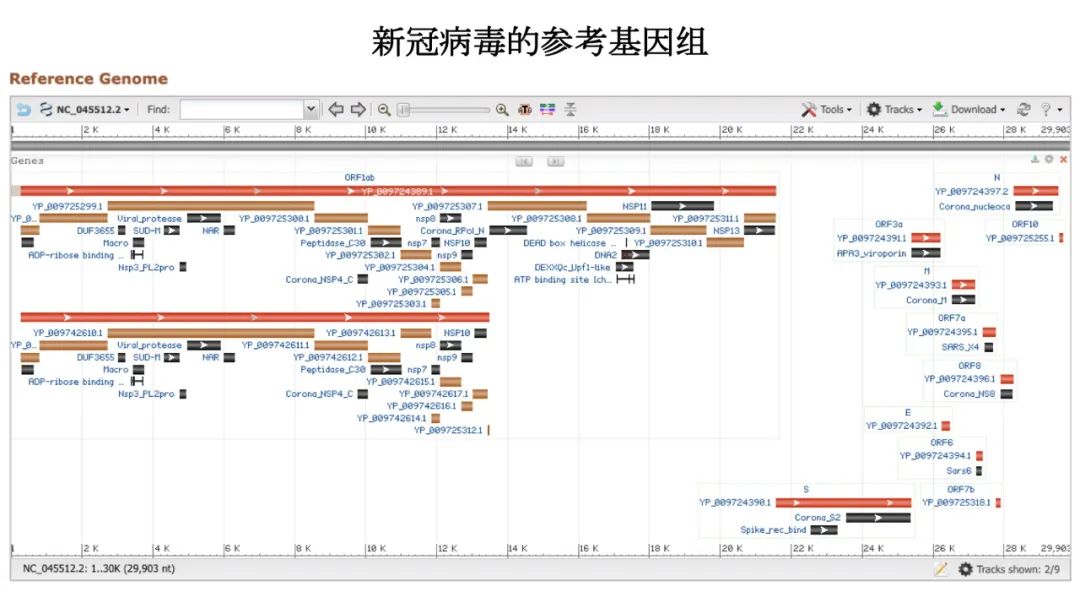 新冠病毒检测结果实验室解读,新冠病毒有哪些实验室检测方法