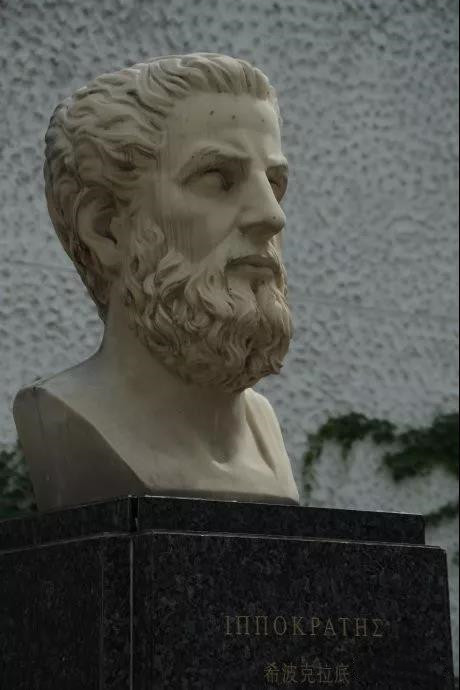 动物疾病的治疗与防治,动物生病的自愈方法