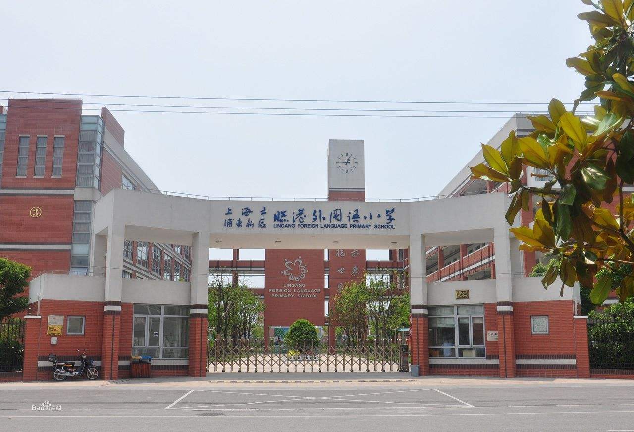 上海临港各板块学校,临港学校规划