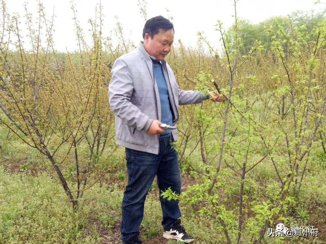 扬州7人获全国表彰,仪征奖励人员名单