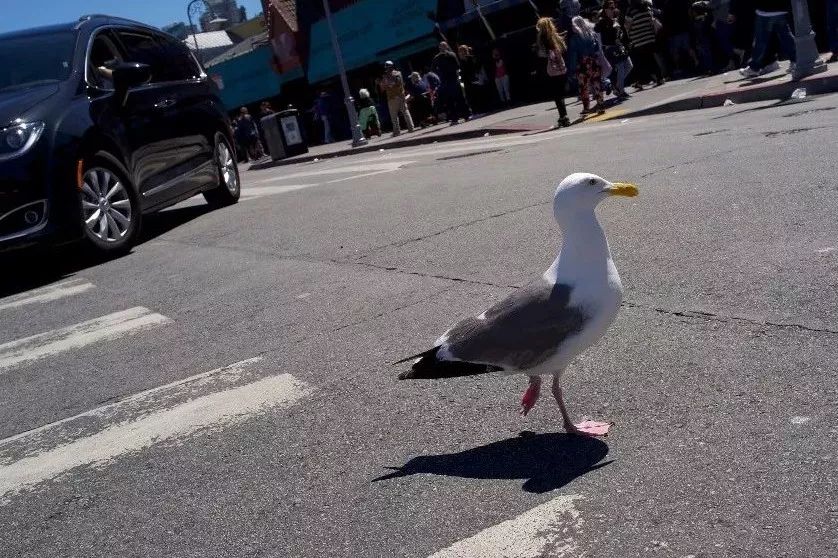 擎怀|于美利坚告别“6”的罗曼蒂克