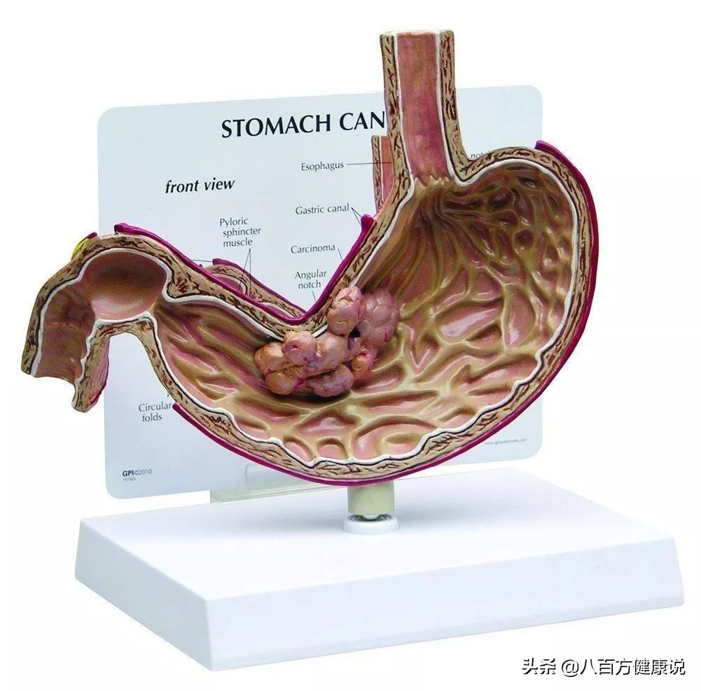 喝酒脸红是不适合喝酒吗,喝酒脸红是酒量好吗