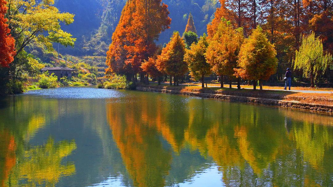 中国绿都最氧三明,中国绿都最氧三明春回大地