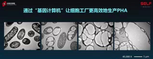 塑料大概多少年才能在自然界降解,塑料究竟可以降解吗