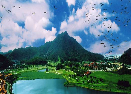 东莞市长安镇简介,东莞市长安镇沙头简介