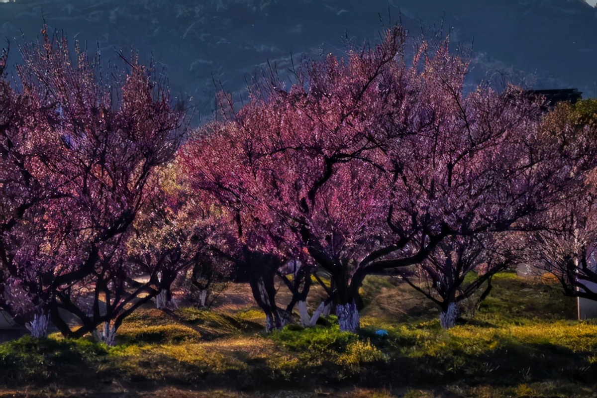 大幅度下跌后的走势,大幅下跌的拐点在哪里