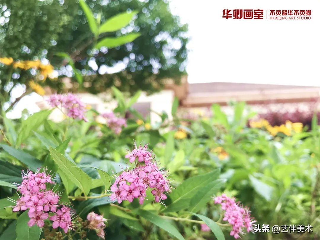 北京华卿画室2023成绩,在北京华卿画室参加美术培训好吗