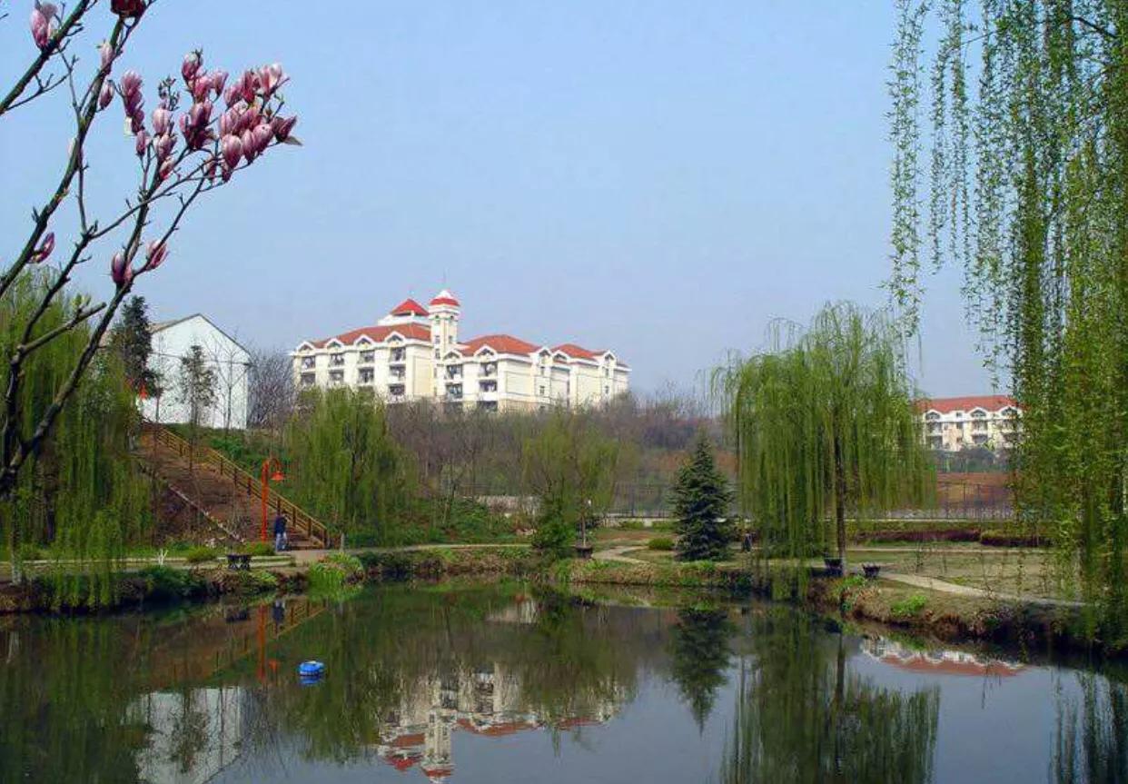 合肥工业大学光信息科学排名,合肥工业大学各专业全国排名