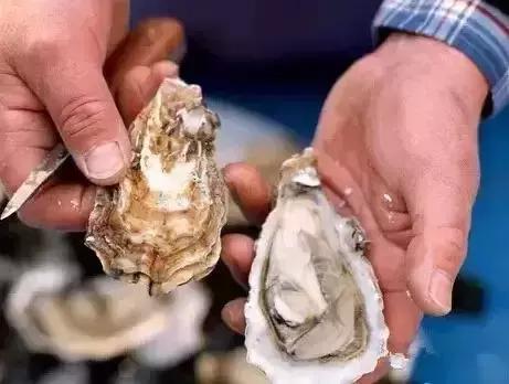 海鲜不可以吃的是哪些,各种海鲜应该吃的部位