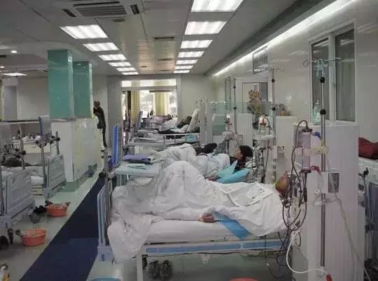 长春新区上央视新闻,央视新闻长春最新消息