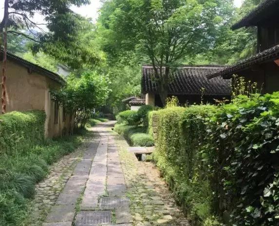 南京最好的山庄排名,南京最美的6个地方你都去过了吗