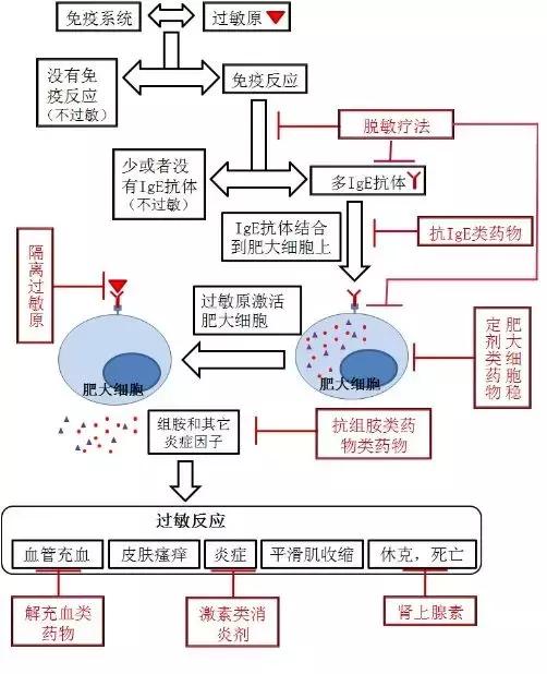过敏了怎么才能治好,过敏了怎么办