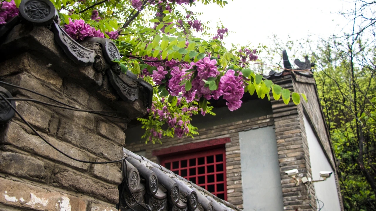 研学旅行不虚此行,研学旅游期待回归