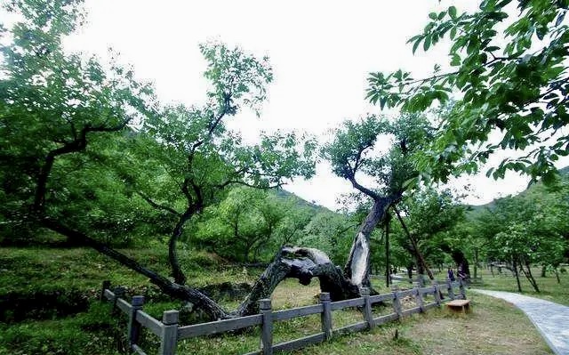 北京市怀柔区的综合性游览区,怀柔旅游区哪里有意思