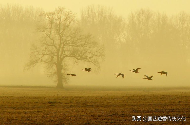 中国传统文化的意境美,中国古典园林追求什么审美境界